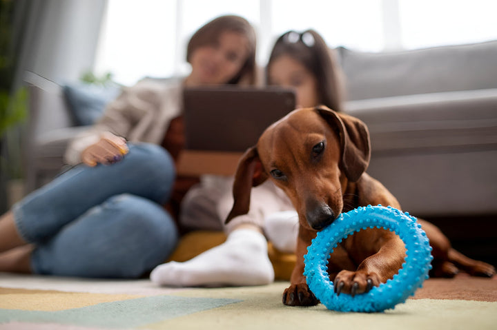 Choosing The Best Pet Toys