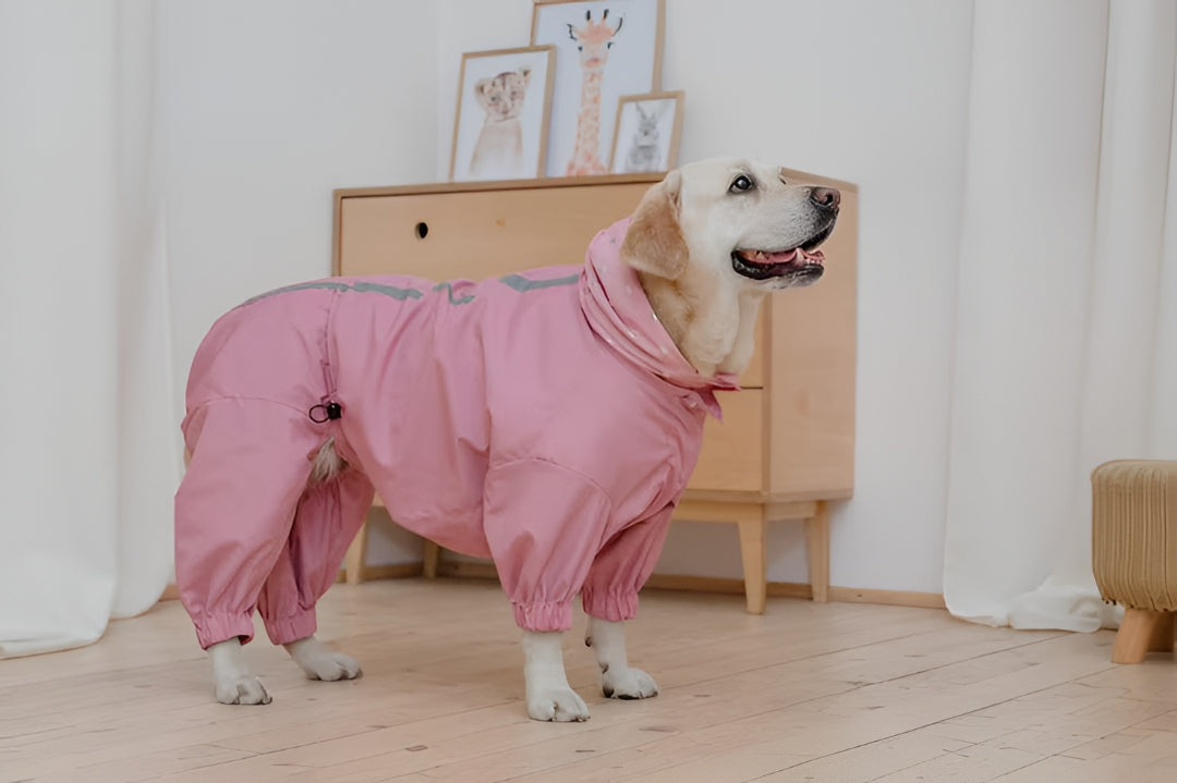 Stylish And Practical Pet Clothes